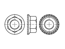 mit Flansch DIN 6923