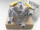 HARDI Kraftstoffpumpe 12V ab 100PS MGB Jaguar Healey Triumph