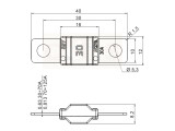 QELLON /Midi-Sicherung 40 A Hochstromsicherung, Schraubsicherung 40 Ampere  für Autos, LKWs, Baufahrzeuge, Wohnwagen (10 StüCk)