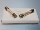 Glasrohrsicherung 20A 6,3 x 32 mm mit Papiereinleger